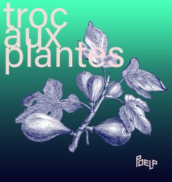 troc-plantes